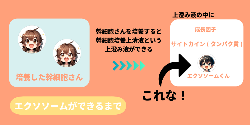 エクソソーム 注射ーAGA薄毛医療ナビ